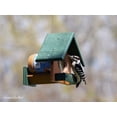 thumbnail image 6 of Amish-Made Peanut Butter Bird Feeder, Eco-Friendly Poly Lumber, Fits 16-18 Oz. Jar of Peanut Butter Black/Aruba Blue, 6 of 6