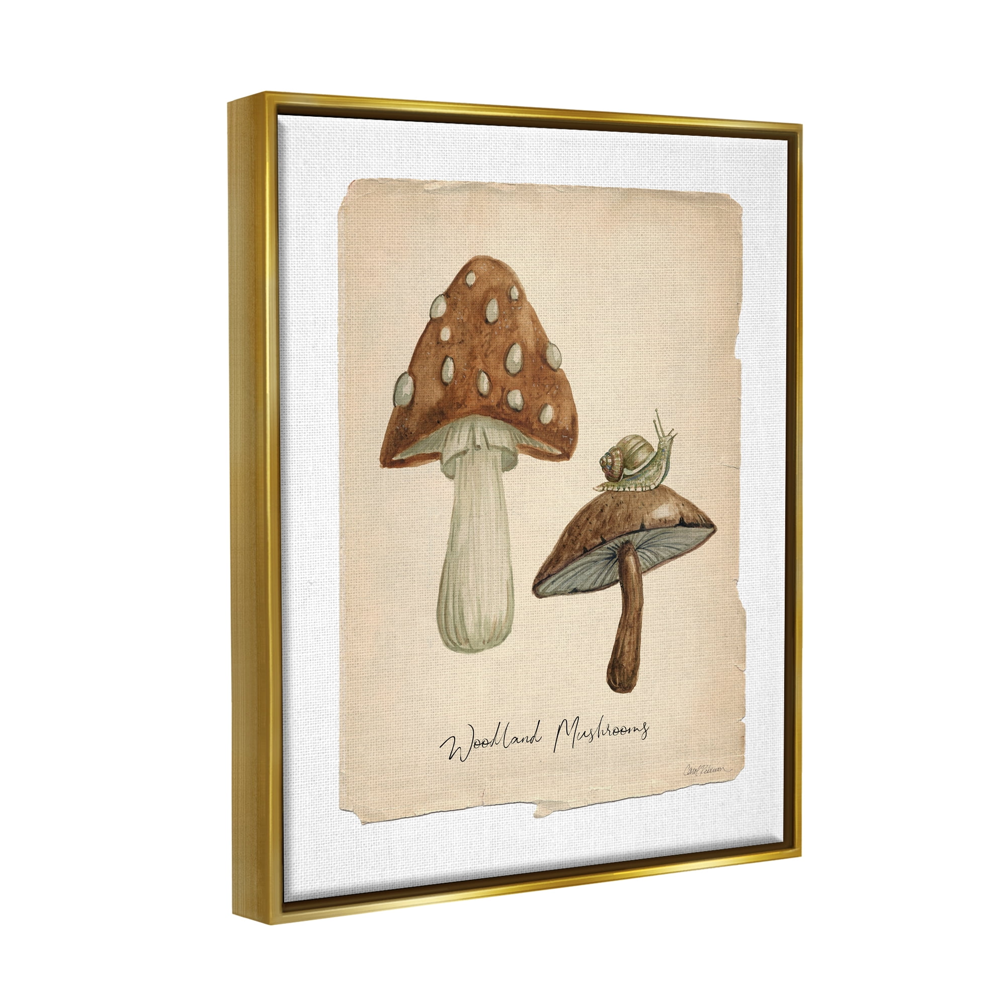 Stupell Industries Woodland Mushrooms & Snail Botanical & Floral Painting Gold Floater Framed Canvas Art Print Wall Art, 25 x 31