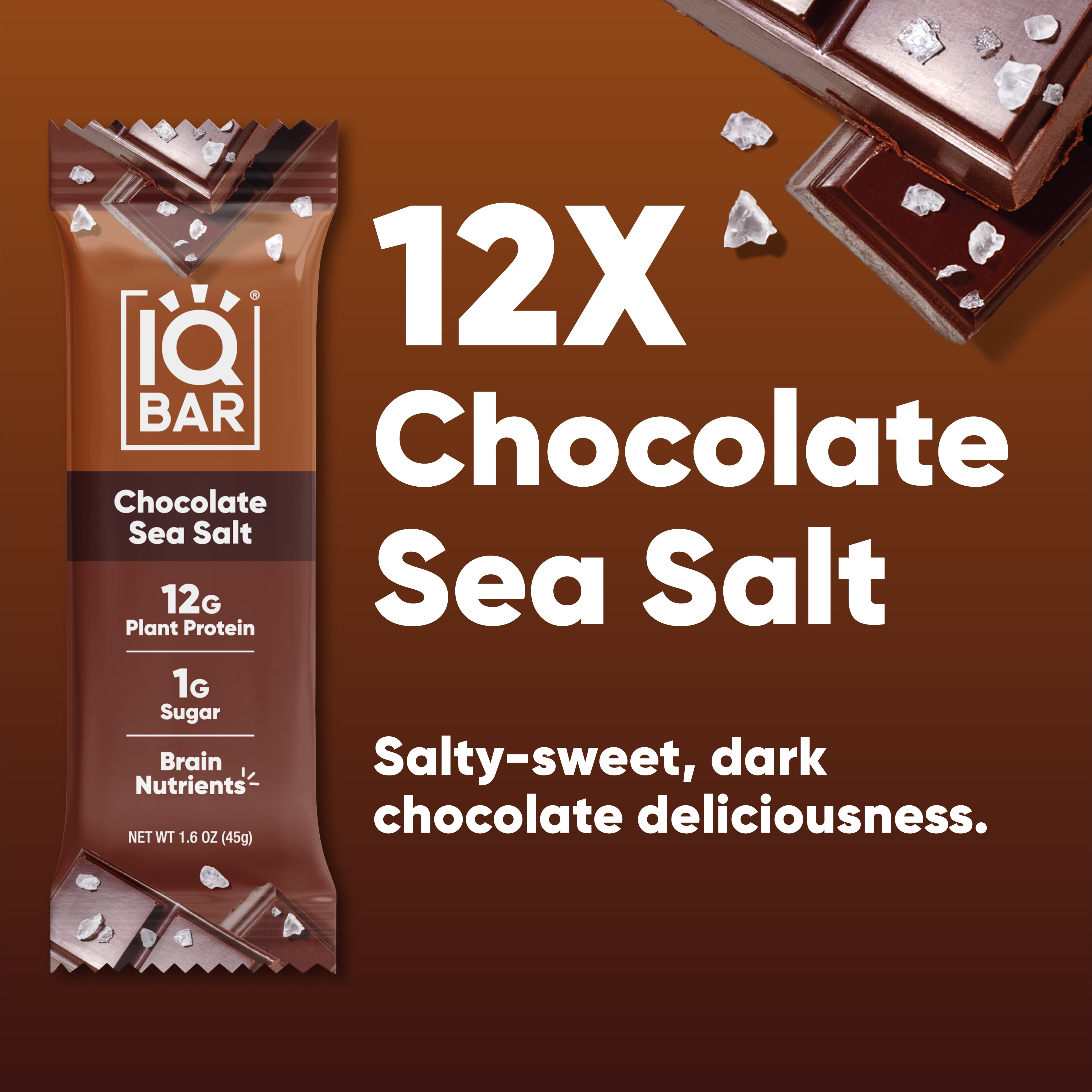 IQBAR Clean Plant Protein Bars - Chocolate Sea Salt - 12 Count - Keto, Vegan, High Fiber, Gluten and Dairy Free, Low Sugar Snack