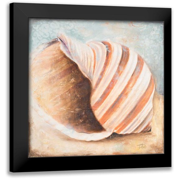 Pinto, Patricia 12x12 Black Modern Framed Museum Art Print Titled - Seashell Collection I