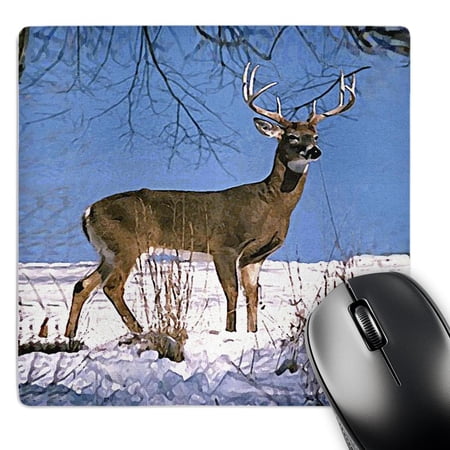 3dRose  White Tailed Deer  MousePad price history on PriceWatchPro