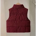 thumbnail image 4 of StSilkitty Boys Girls Vest Zip up Sleeveless Stand Collar Jackets Outerwear Winter Outdoor Warm Vest with Pockets, 4 of 9