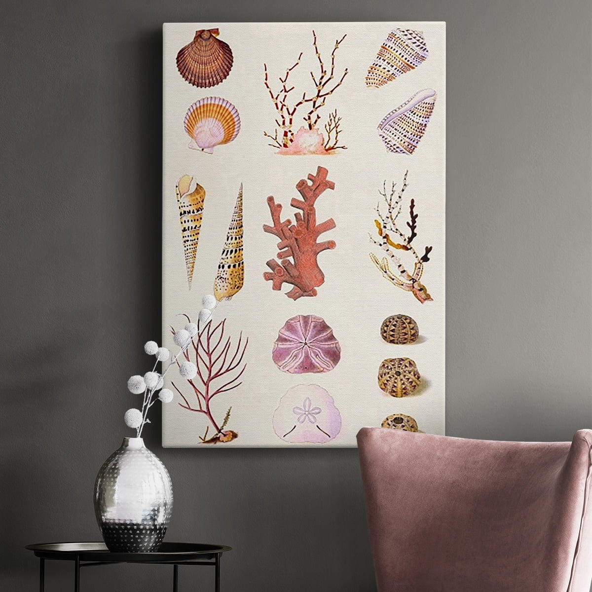Coral & Shell Collage II Premium Gallery Wrapped Canvas - Ready to Hang