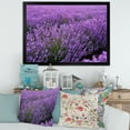 thumbnail image 3 of Designart 'Blooming Purple Lavender Meadow' Farmhouse Framed Art Print, 3 of 4