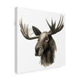 thumbnail image 2 of Trademark Fine Art 'Western Animal Study III' Canvas Art by Grace Popp, 2 of 4