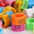 thumbnail image 4 of Deago 100 Pcs Bird Rings Leg Bands For Pigeon Parrot Lovebird Coturnix Quail Chicken Goose Turkey Clip Rings Number 1-100 (Multi-color), 4 of 9