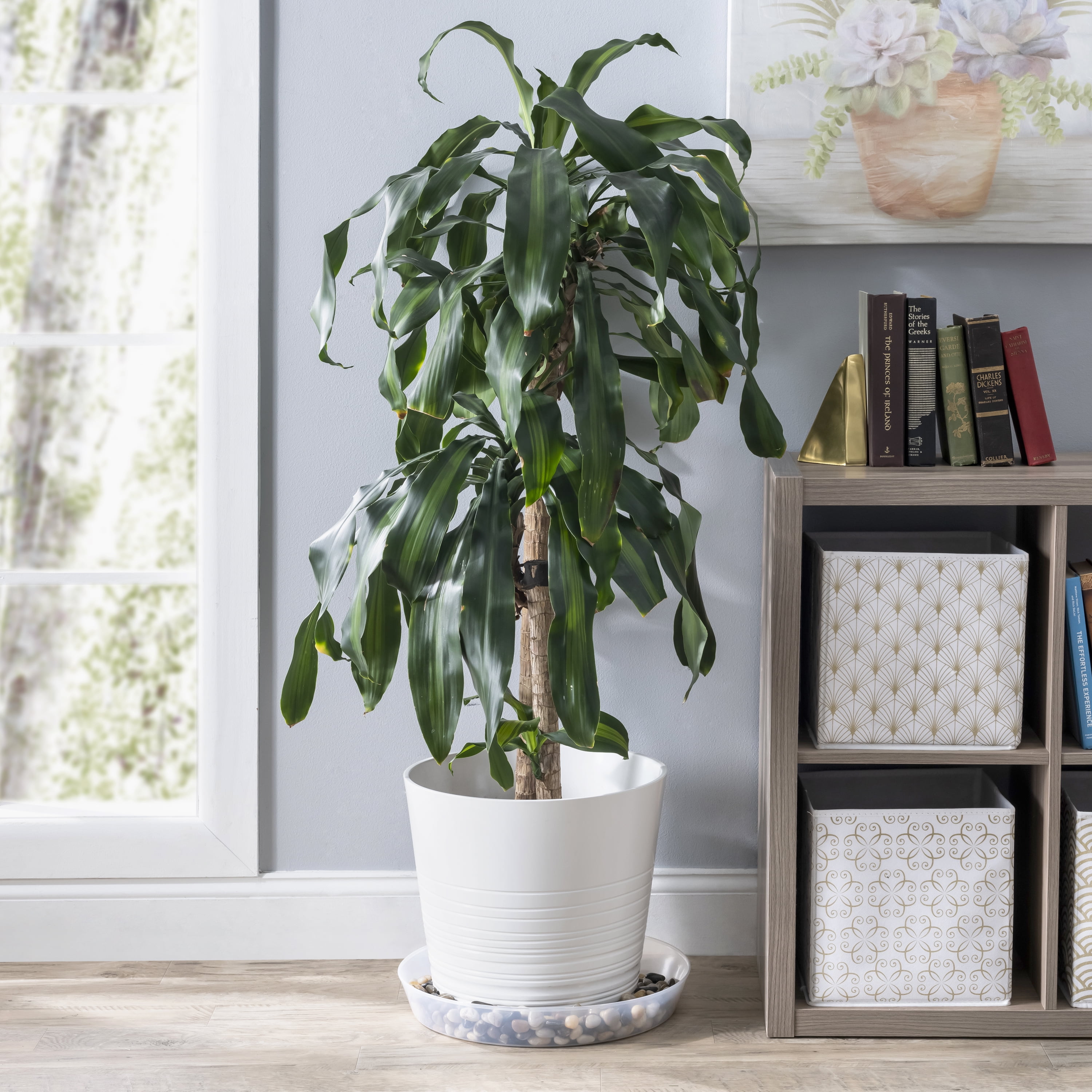 Austin Planter 18 inch(16.3 inch Base) Plant Saucer Single Natural Colored Polypropylene Made in USA