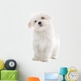 thumbnail image 1 of Maltese Dog White Wall Decal Sticker by Wallmonkeys Vinyl Peel and Stick Graphic (48 in H x 29 in W, 1 of 4