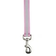 thumbnail image 1 of Guardian Gear Reflective Ld 4 Ft x .62 In Pink, 1 of 1