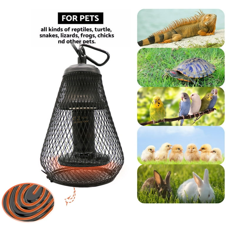 Heat lamps for rabbit cages hotsell