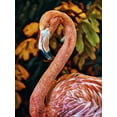 thumbnail image 2 of Aldridge, Ashley 19x24 Gold Ornate Wood Framed with Double Matting Museum Art Print Titled - Poised Pink Flamingo, 2 of 4