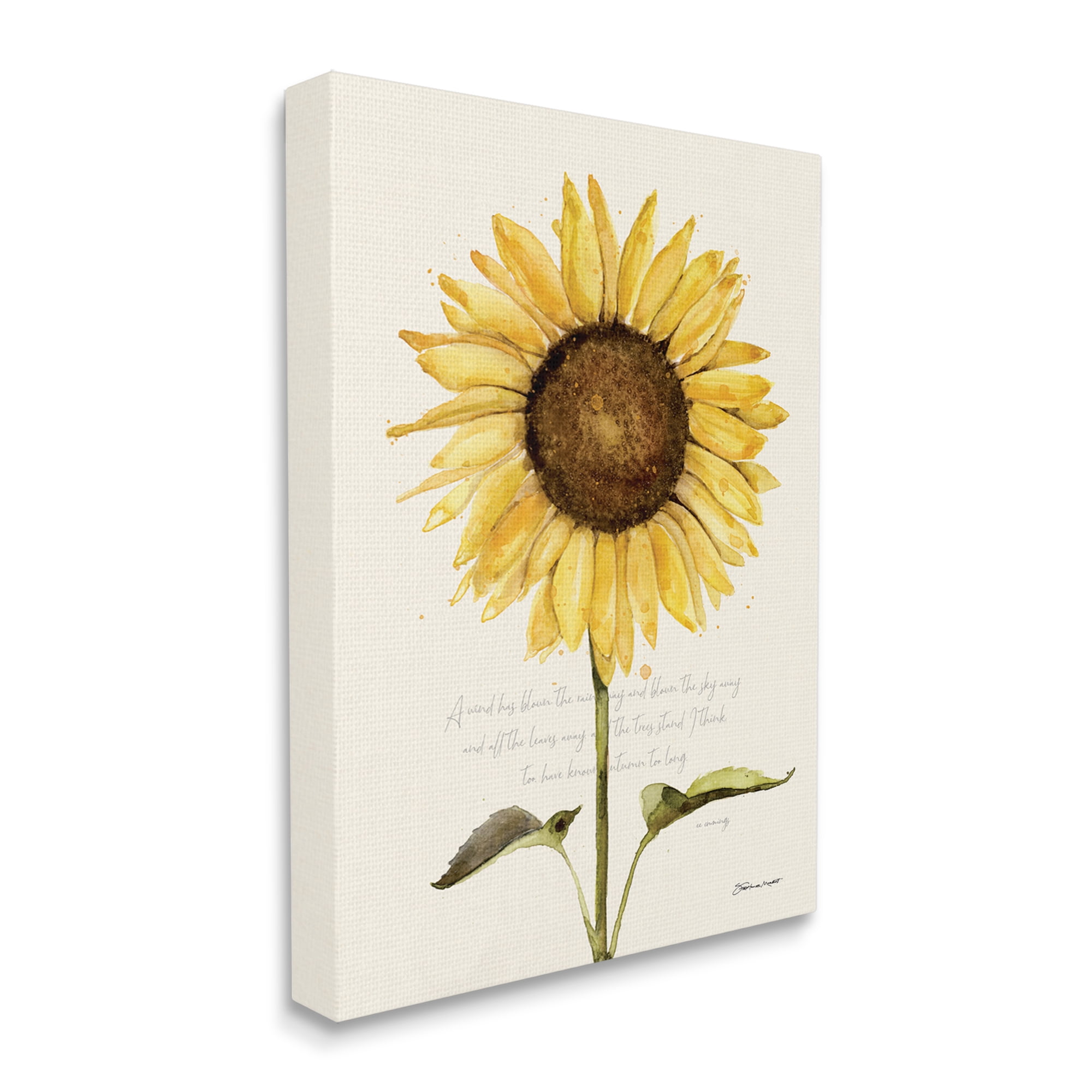 Stupell Industries Wind Has Blown Quoted Script Warm Sunflower Floral, 36 x 48, Design by Stephanie Workman Marrott