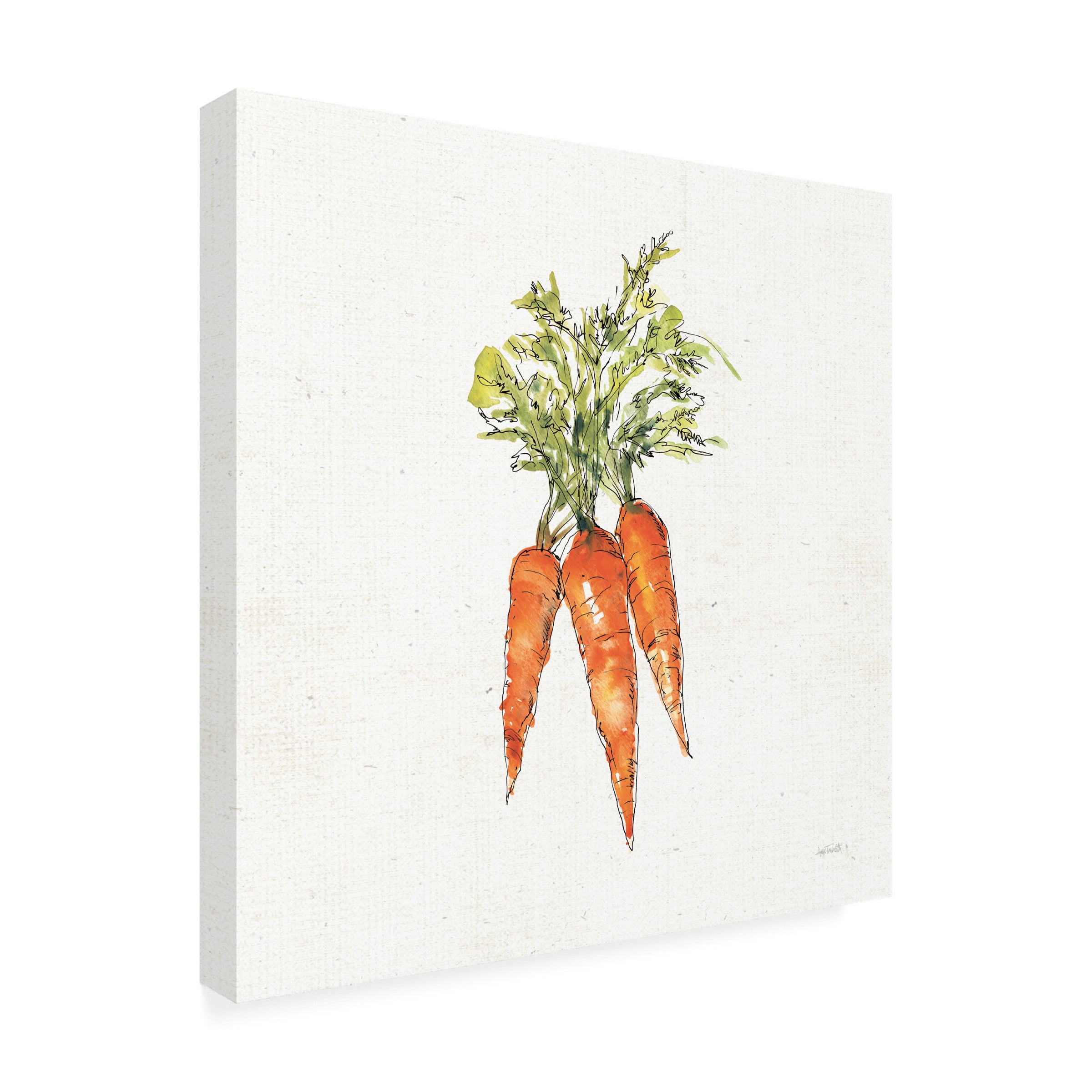 Anne Tavoletti 'Veggie Market V Carrots' Canvas Art