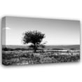 thumbnail image 1 of Alan Hausenflock 40x28 Gallery Wrapped Canvas Wall Art Titled - Big Meadow IV, 1 of 4
