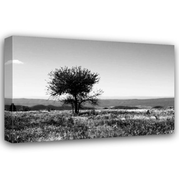 Alan Hausenflock 40x28 Gallery Wrapped Canvas Wall Art Titled - Big Meadow IV