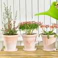 thumbnail image 6 of Sungmor Set of 3 Terra Cotta Pots with Saucer & Drainage Hole, Large & Deep Clay Pots, Unique Embossed & Pretty Color Pottery Planters, Decorative Flower Pots for Plants Orchid Cactus Succulent, 6 of 7