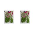 thumbnail image 3 of Ounissouiy Artesanía de flores secas naturales, artesanía artística, flores prensadas, ramos en relieve, suministro de decoraciones de plantas Type3 NO3, 3 of 6