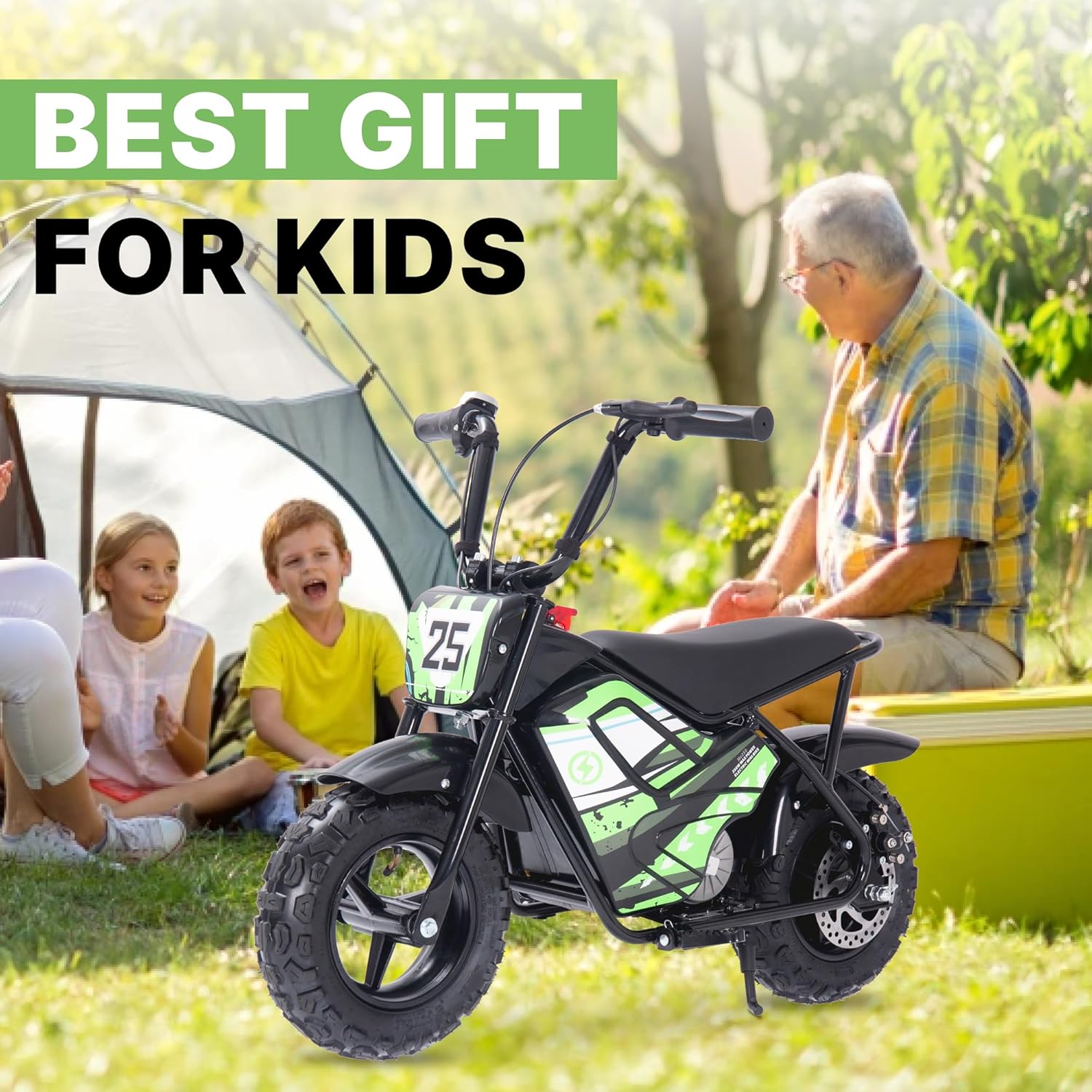 Electric Dirt Bike for Kids, 24V 250W Powerful Electric Motorcycle, 10mph Max Speed & 12 Miles Long-Range, 2-Speed Gear, Twist Grip Throttle, 12'' Fat Tire Bike for Ages 3-10