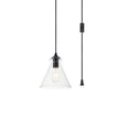 thumbnail image 3 of Living District LDPG2244BK Destry 1 Light Black Plug-In Pendant with Clear Glass, 3 of 4