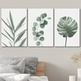 thumbnail image 3 of wall26 Wall Art Print Set Monstera Leaf and Jungle Plant Variety Wilderness Nature Illustrations Modern Art Rustic Closeup Colorful for Living Room, Bedroom, Office - 24"x36"x3, 3 of 5