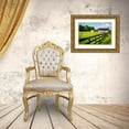 thumbnail image 3 of Hausenflock, Alan 32x23 Gold Ornate Wood Framed with Double Matting Museum Art Print Titled - Spring Pasture II, 3 of 4