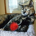 thumbnail image 5 of 30 Pcs Jouet Balle pour Chat Balle Colorée Jouet Balle interactive pour Chat, 5 of 5