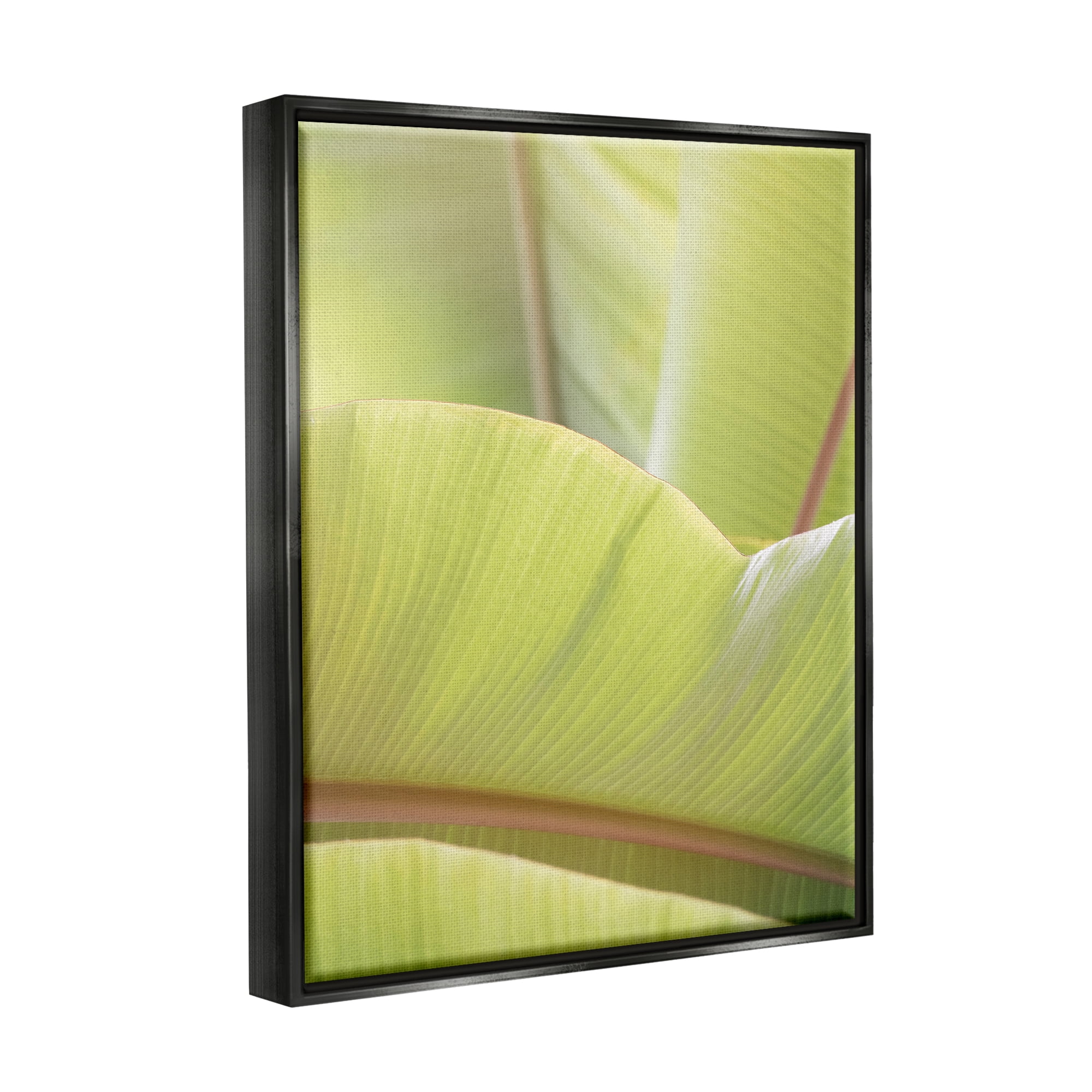 Stupell Modern Botanical Close Up Leaf Botanical & Floral Photography Black Floater Framed Art Print Wall Art