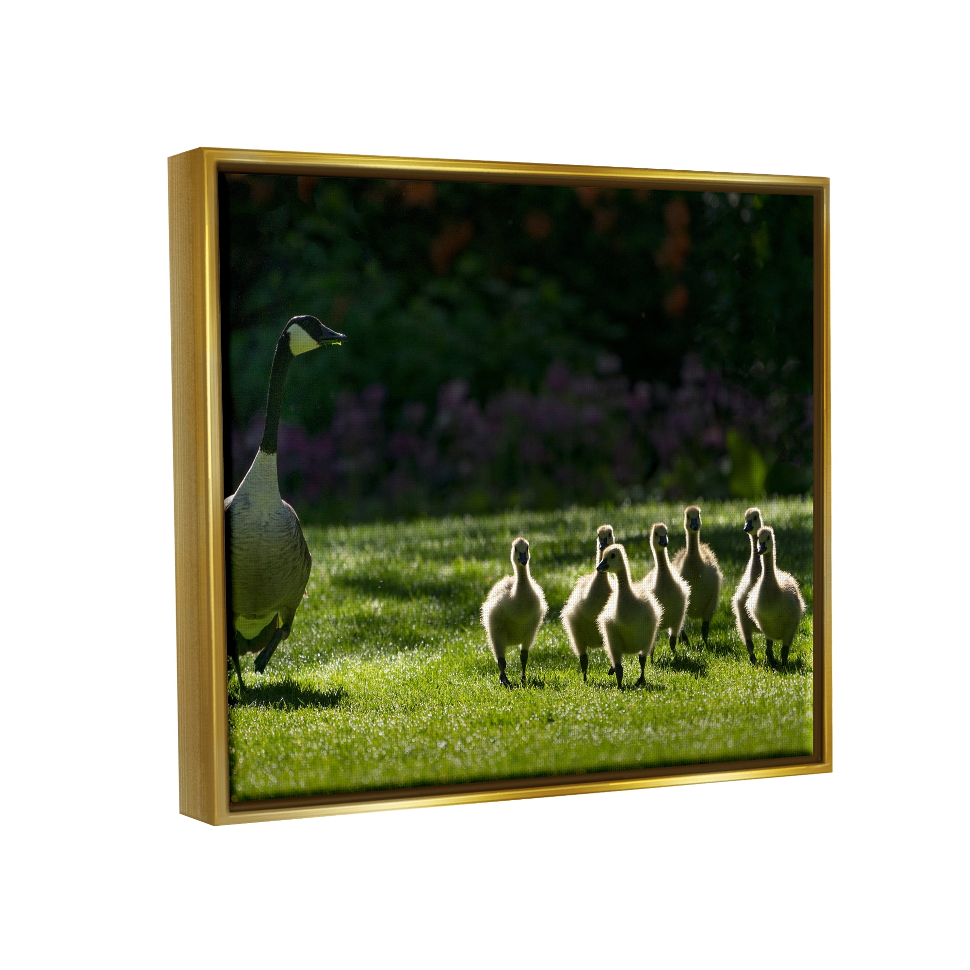 Stupell Industries Goose Family Photography Animals & Insects Photography Gold Floater Framed Art Print Wall Art, 21 x 17