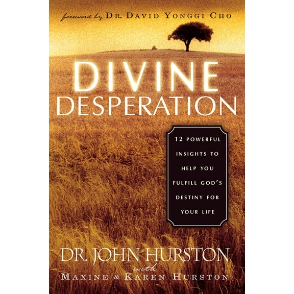 Pre-Owned Divine Desperation: 12 Powerful Insights to Help You Fulfill God's Destiny for Your Life (Paperback) 1591851718 9781591851714