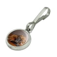 thumbnail image 2 of Boxer Puppy Dog Sleeping on Guitar Antiqued Charm Clothes Purse Suitcase Backpack Zipper Pull Aid, 2 of 5