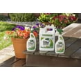 thumbnail image 5 of Scotts FBA 51501 Concentrate Plus Oxi Clean Outdoor Cleaner, 2.5 Gallon, Brown, 5 of 8