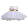 thumbnail image 1 of Robes de Princesse à Sequins pour Filles Sans Manches Dos Creux Grand Nœud Tulle Tutu Robe, 1 of 6