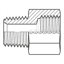Adaptall Hose Adapter,1-1/4",NPT,1-1/4",BSPP 9037-2020