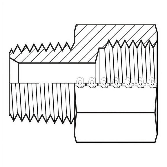 Adaptall Hose Adapter,1-1/4",NPT,1-1/4",BSPP 9037-2020