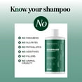 thumbnail image 3 of Biotin Rosemary Shampoo for Hair Growth - Vegan Sulfate Free Rosemary Biotin Shampoo for Thinning Hair and Hair Loss with Volumizing Rosemary Essential Oil for Fine Weak & Dull Hair (16 Fl Oz), 3 of 10