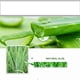 thumbnail image 5 of BIOAQUA 40g Aloe Gel Clear Essence Hidratante Refrescante Sun Repair Bioaqua  Gel de aloe, 5 of 7
