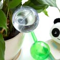 thumbnail image 2 of 2 PACKS Imitation glass ball automatic watering device transparent, 2 of 6