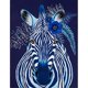thumbnail image 1 of Cuadros Decorativos (DF3546) 5D DIY Taladro Completo Pintura Diamante Punto de Cruz Bordado Mosaico (Zebra09) 20X30cm Wdftyju embutido en tela, 1 of 1