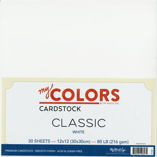 My Colors 100lb Heavyweight Cardstock 12 inchx12 inch-Black Suede
