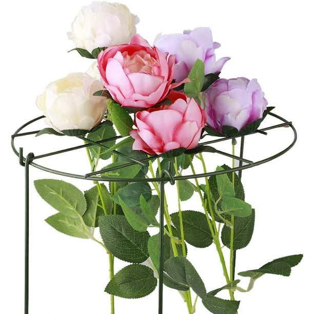Poteaux de Jardin de Support de Plante, Adstro Mini DIY Escalade Treillis Fleur Soutient les Cages de Pivoine pour les Concombres de Roses de Lierre