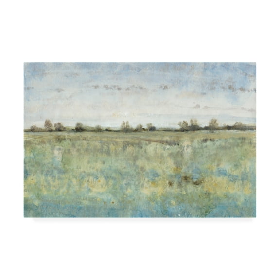 Trademark Fine Art 'Grazing Land III' Canvas Art by Tim OToole