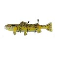 thumbnail image 4 of MEYDA 132285 30 in. W Brown Trout Fused Glass Wall Sconce, 4 of 4