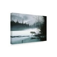thumbnail image 2 of Trademark Fine Art 'Spring Mist Gray Wolf' Canvas Art by Ron Parker, 2 of 3