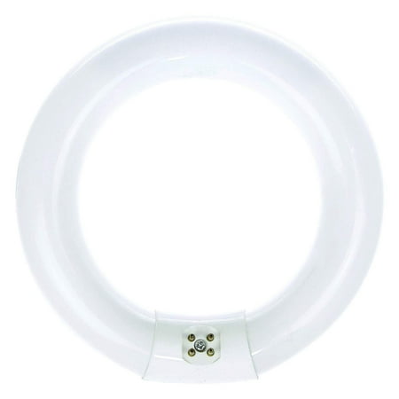 High Fluorescent Outdoor Hanging Light Luxrite FC8T9/CW 22-Watt 8 INCH T9 Fluorescent Circular Light Bulb, 4100K Cool White, 1180 Lumens, G10Q 4-Pin Base (10 Pack) ()