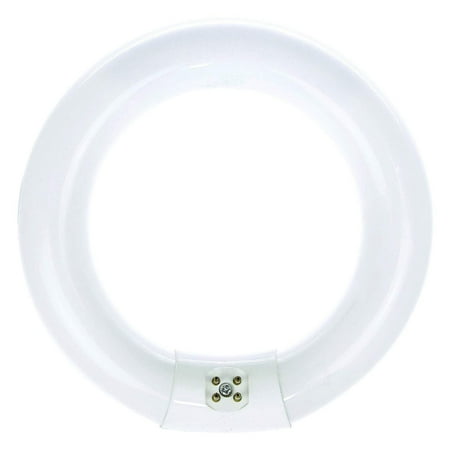 Luxrite FC8T9/CW 22-Watt 8 INCH T9 Fluorescent Circular Light Bulb, 4100K Cool White, 1180 Lumens, G10Q 4-Pin Base (10