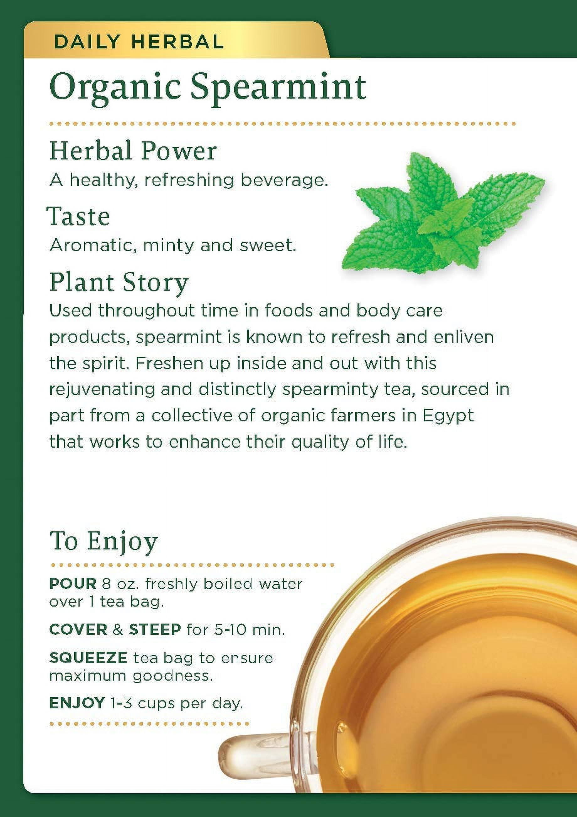 Traditional Medicinals Organic Spearmint Mint Herbal Tea