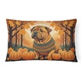 thumbnail image 2 of Carolines Treasures DAC1014PW1216 16 x 12 in. Unisex Beagle Fall Fabric Decorative Pillow, 2 of 31
