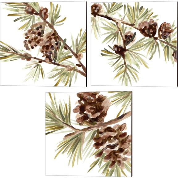 Great Art Now Simple Pine Cone by June Erica Vess 3 Piece Canvas Art Set Each 14"W x 14"H