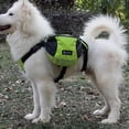thumbnail image 2 of Pet Dog Puppy Saddle Backpack Carrier Mochila para arnés de viaje verde Gato Bag Mochila portadora de perros de mascotas, 2 of 8