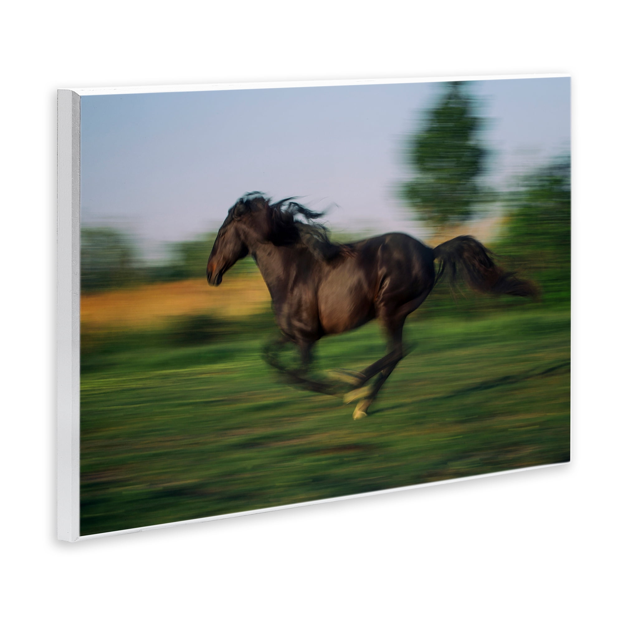 Stupell Industries Dashing Camargue Racehorse Wall Plaque Art, design by Scott Stulberg